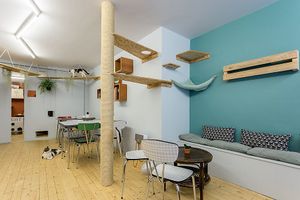 Interior DreamCATchers at DreamCATchers in Ghent