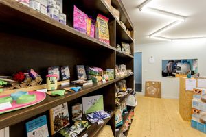 DreamCATchers Shop at DreamCATchers in Ghent