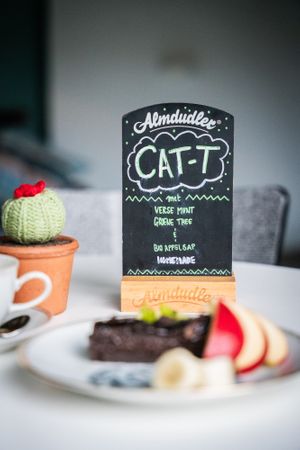  at DreamCATchers in Ghent