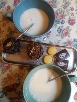 Hot oat milk, chocolate on the side at The Old Chocolate House in Bruges