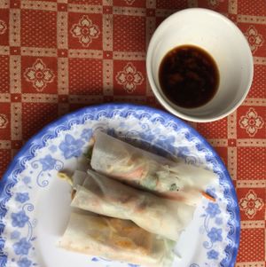 spring rolls  at Nhat Da in Hoi An