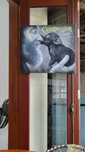  at Nhat Da in Hoi An