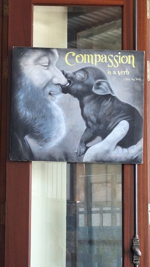  at Nhat Da in Hoi An