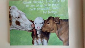 Lovely hand painted posters at Nhat Da in Hoi An