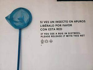 Bug-catcher at Consulado Vegetal in Jardin