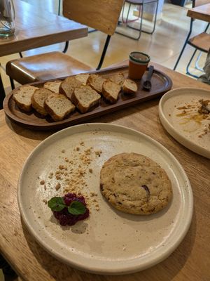  at Consulado Vegetal in Jardin