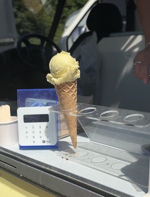 VegOut West ‘25  at Ice Green in Cardigan