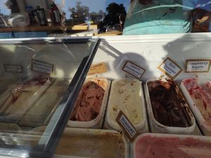  at Ice Green in Cardigan