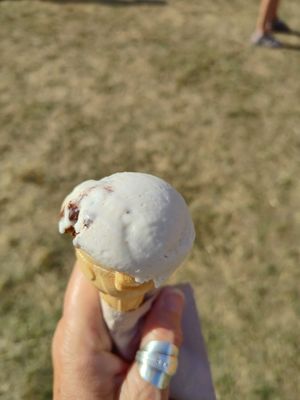Mint choc brownie at Ice Green in Cardigan