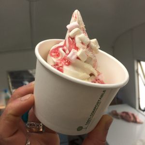oat milk soft serve at Ice Green in Cardigan