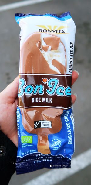 Vegan rice milk ice cream at Biodelice in Corsica