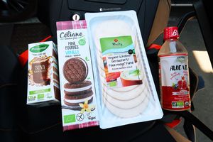 Vegan food and drinks at Biodelice in Corsica