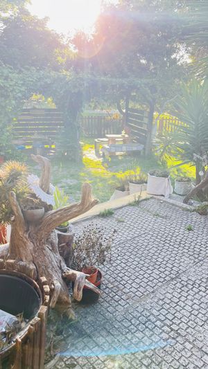   at Nautic Bar in Praia De Mira