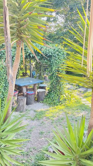   at Nautic Bar in Praia De Mira