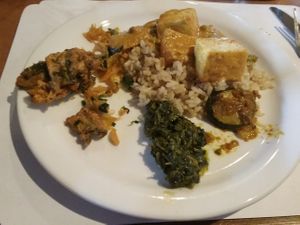 Tofu dish and non-dairy saag! at Kathmandu Restaurant II in Boulder