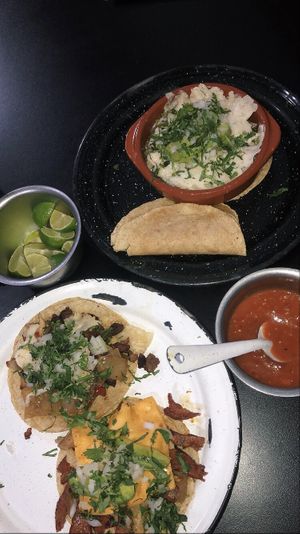 Big bebe and big tlacuache, with nopal and cheese  at Por Siempre Vegana Vol II in Mexico City