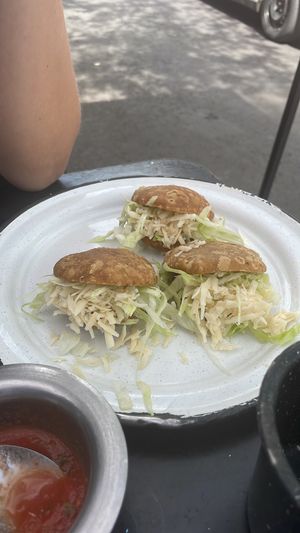   at Por Siempre Vegana Vol II in Mexico City