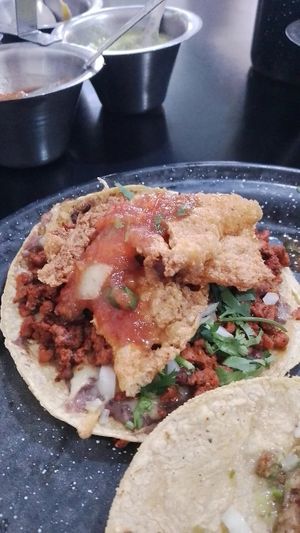 Girondo at Por Siempre Vegana Vol II in Mexico City