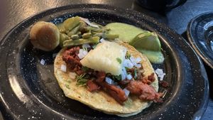   at Por Siempre Vegana Vol II in Mexico City