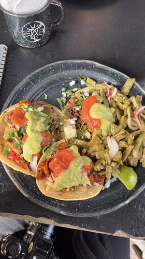 Pastor, Suadero and Alhambre, with stir fried Cactus on the side  at Por Siempre Vegana Vol II in Mexico City