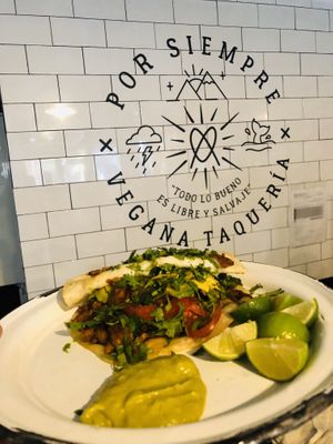 Gringa  at Por Siempre Vegana Vol II in Mexico City