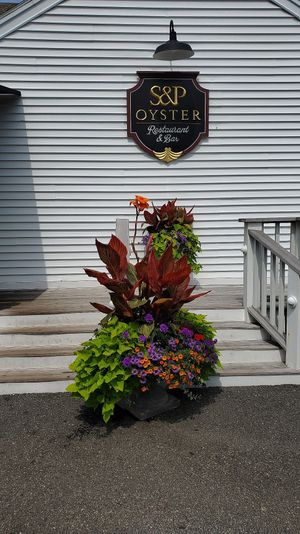 front entrance from parking lot at S&P Oyster Company in Mystic