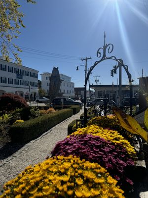 Garden  at S&P Oyster Company in Mystic