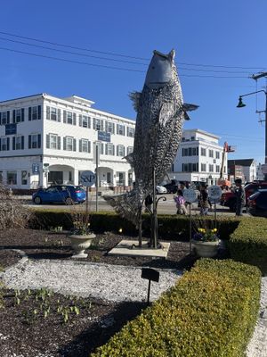   at S&P Oyster Company in Mystic