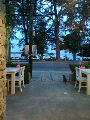 view at Salad Memory in Phuket