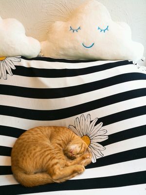 sleeping at Salad Memory in Phuket