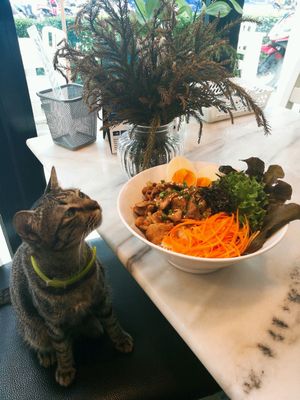 hungry at Salad Memory in Phuket