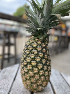 Charlie’s signature decor! at Charlie's Raw Squeeze in Clayfield