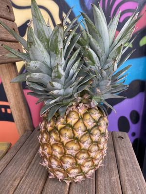 Double headed pineapple! at Charlie's Raw Squeeze in Clayfield