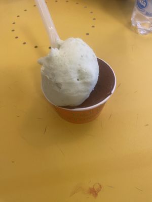 Lemon basil and chocolate  at Alberto Gelateria in Corniglia