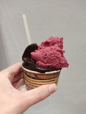 Chocolate and forest fruit at Gelateria Corniglia in Corniglia