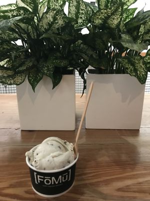 Fresh mint chunk (blueberry shortbread underneath) at FoMu - Tremont in Boston