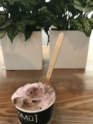 Chocolate cookie dough & Strawbery rhubarb pie at FoMu - Tremont in Boston