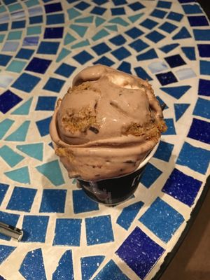 S’mores! at FoMu - Tremont in Boston