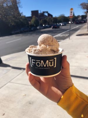 apple cider doughnut ice cream at vegfest  at FoMu - Tremont in Boston