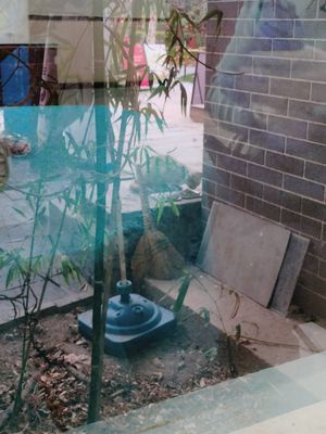 Kitty!! at Shangdao Vegetarian 上道素食 in Xian