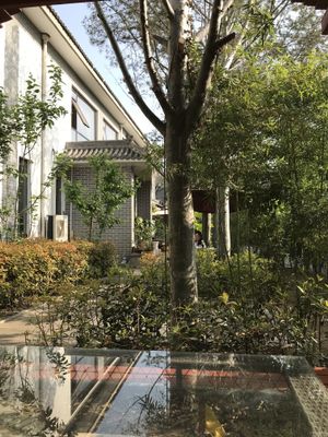 Garden Area.  at Shangdao Vegetarian 上道素食 in Xian