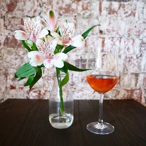 vegan wine on arrival  at The Swigg in Swansea