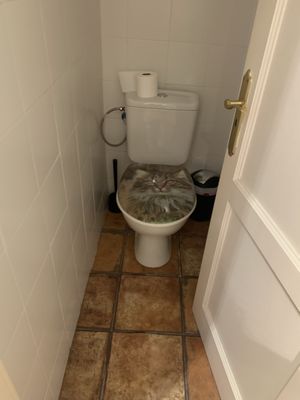 Bathroomm  at Bistro Arbol in Lanzarote