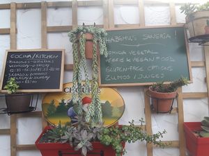Vegetarian and vegan food, gluten-free options and juices at Bistro Arbol in Lanzarote