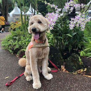 Perfect! at Bistro Arbol in Lanzarote