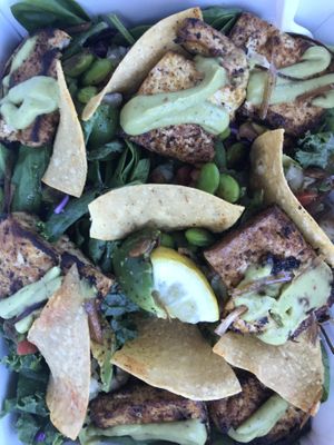 Siren Salad with Tofu at Taco Grilla in Key West