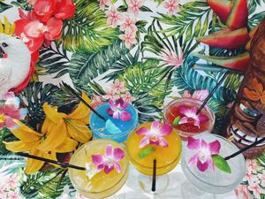 Hawaiian Inspired Margaritas at Asian Outpost - AO Hawaiian Hideout in Chicago