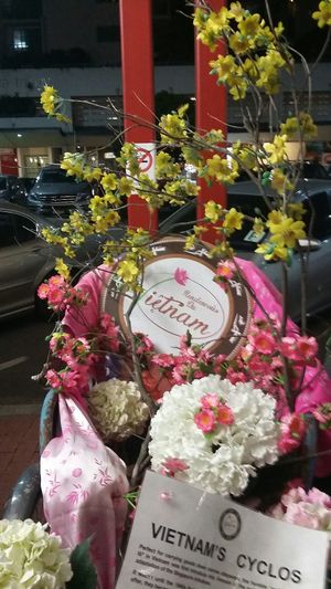 Street views   at Rendezvous du Vietnam in Cairns