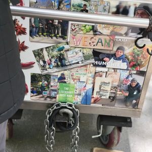 Vegan 🌱❤️ at NY Dosas in New York City