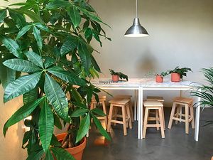 TOO Naturally Healthy Food terrace at Fundação Amália Rodrigues at TOO Naturally Healthy Food in Lisbon